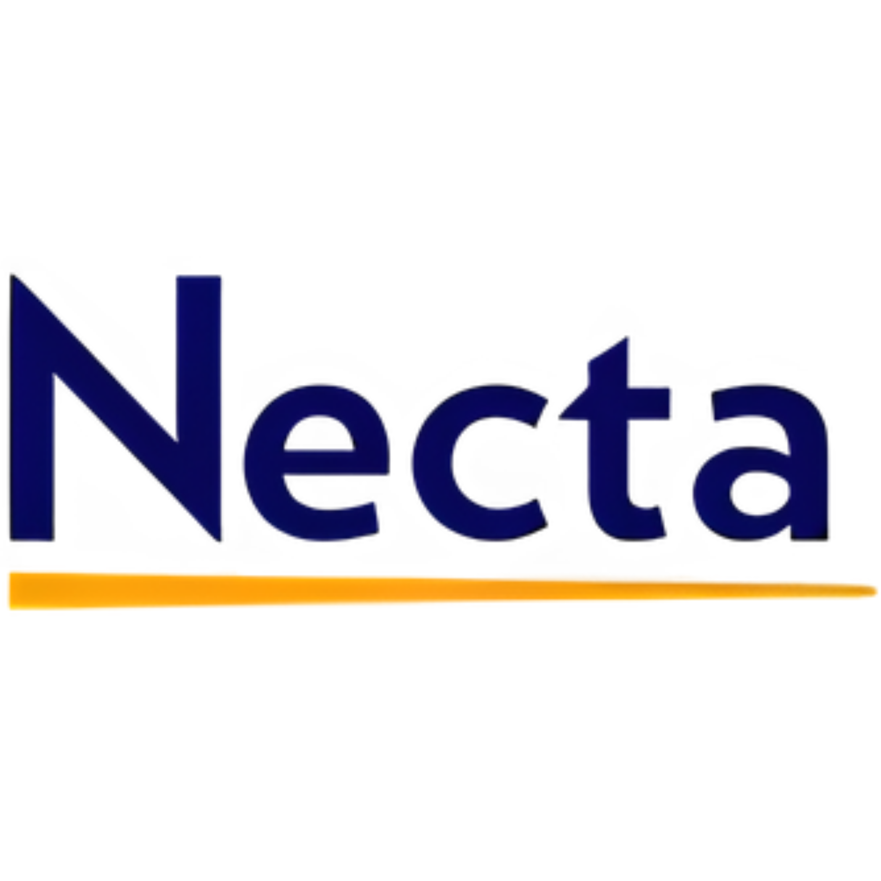 Necta_Logo[1]